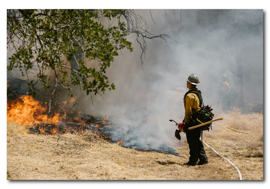 firefighters